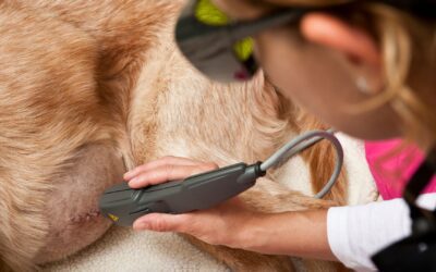 Laser Therapy FAQs